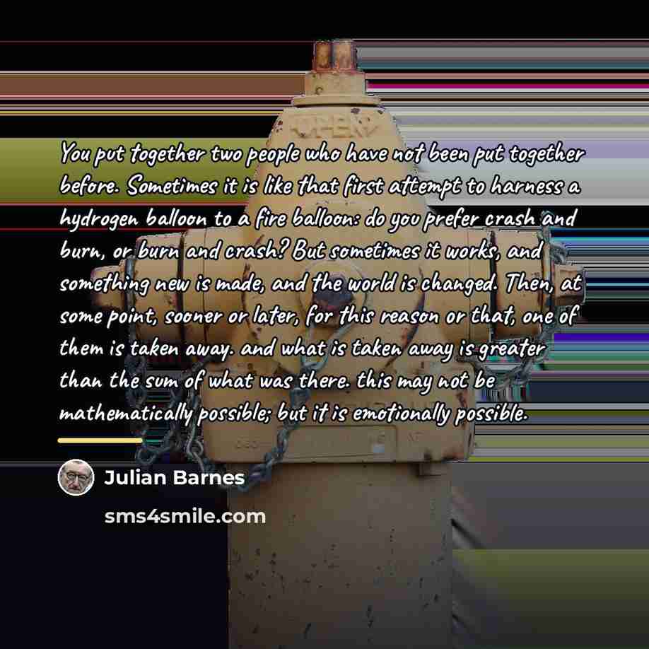 “You put together two people who have not been put…” quote by Julian Barnes