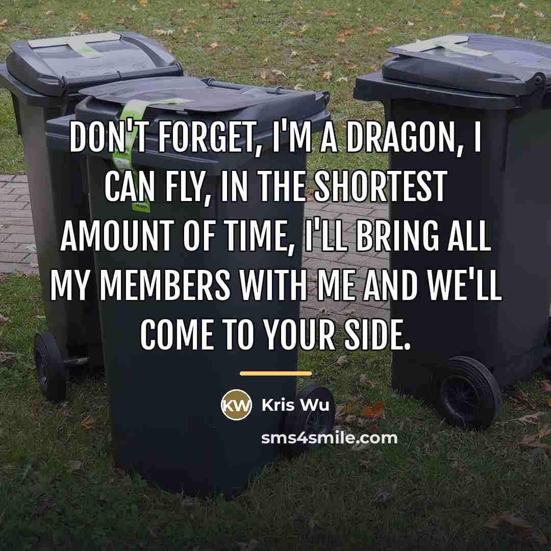 “Don't forget, I'm a dragon, I can fly, in the…” quote by Kris Wu