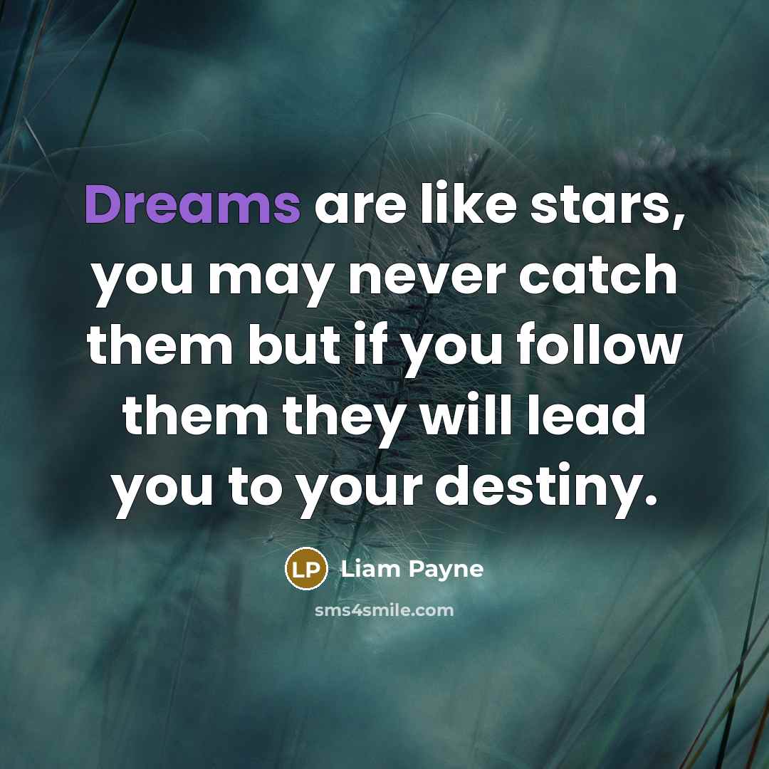 “Dreams are like stars, you may never catch them but…” quote by Liam Payne