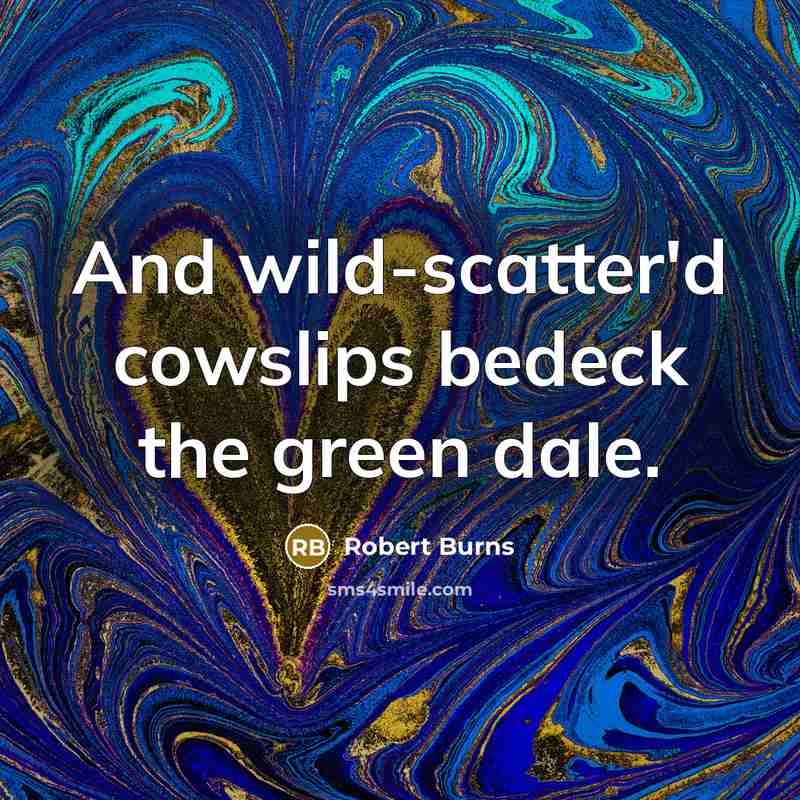 “And wild-scatter'd cowslips bedeck the green dale.…” quote by Robert Burns