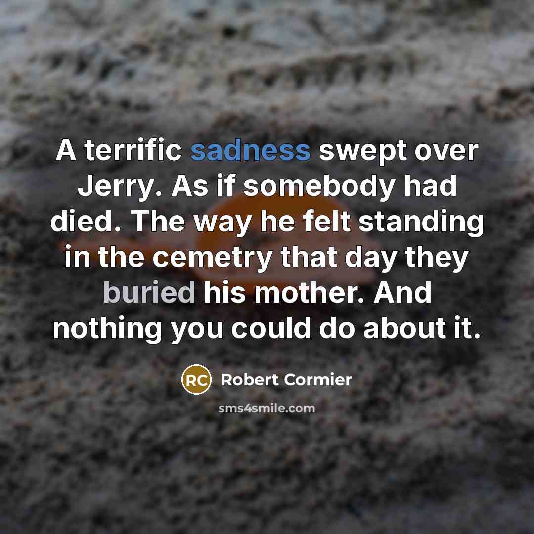 “A terrific sadness swept over Jerry. As if somebody had…” quote by Robert Cormier