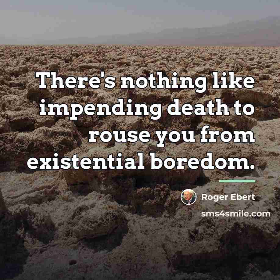 “There's nothing like impending death to rouse you from existential…” quote by Roger Ebert