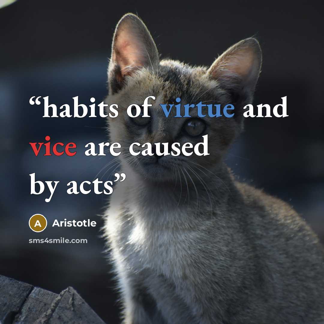 “habits of virtue and vice are caused by acts” quote by Aristotle