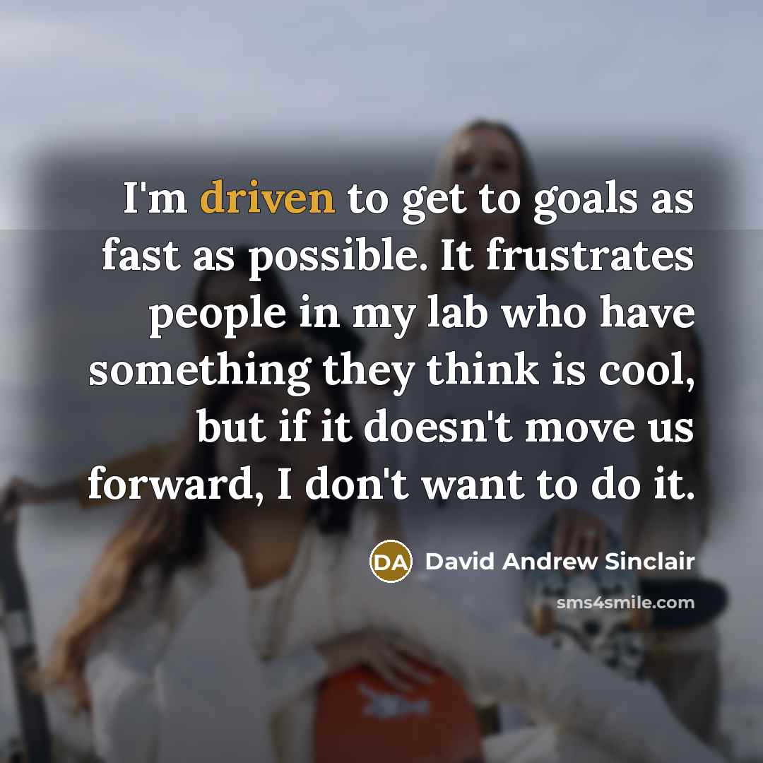 “I'm driven to get to goals as fast as possible.…” quote by David Andrew Sinclair