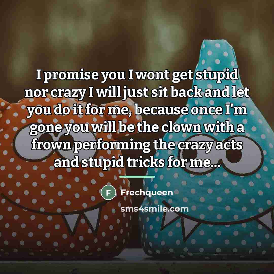 “I promise you I wont get stupid nor crazy I…” quote by Frechqueen