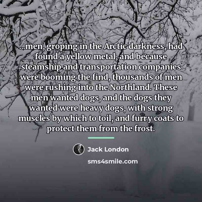 “...men, groping in the Arctic darkness, had found a yellow…” quote by Jack London