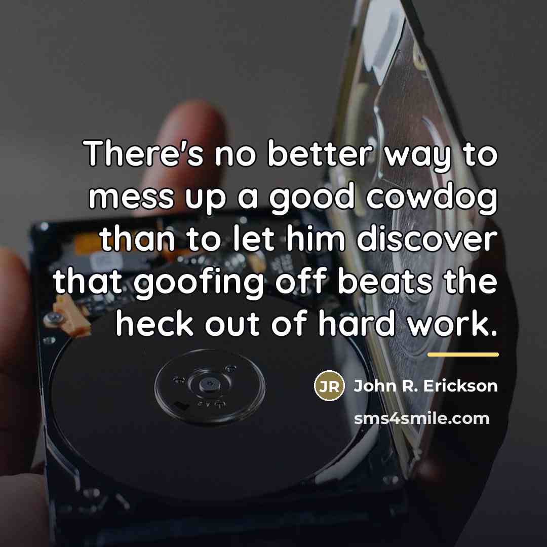“There's no better way to mess up a good cowdog…” quote by John R. Erickson