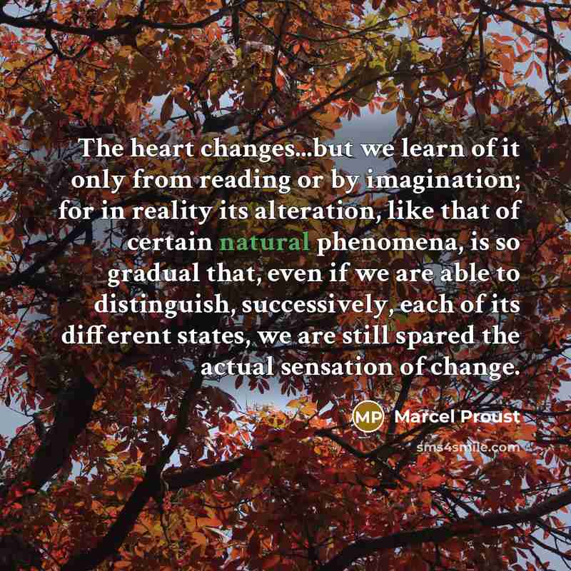 “The heart changes...but we learn of it only from reading…” quote by Marcel Proust