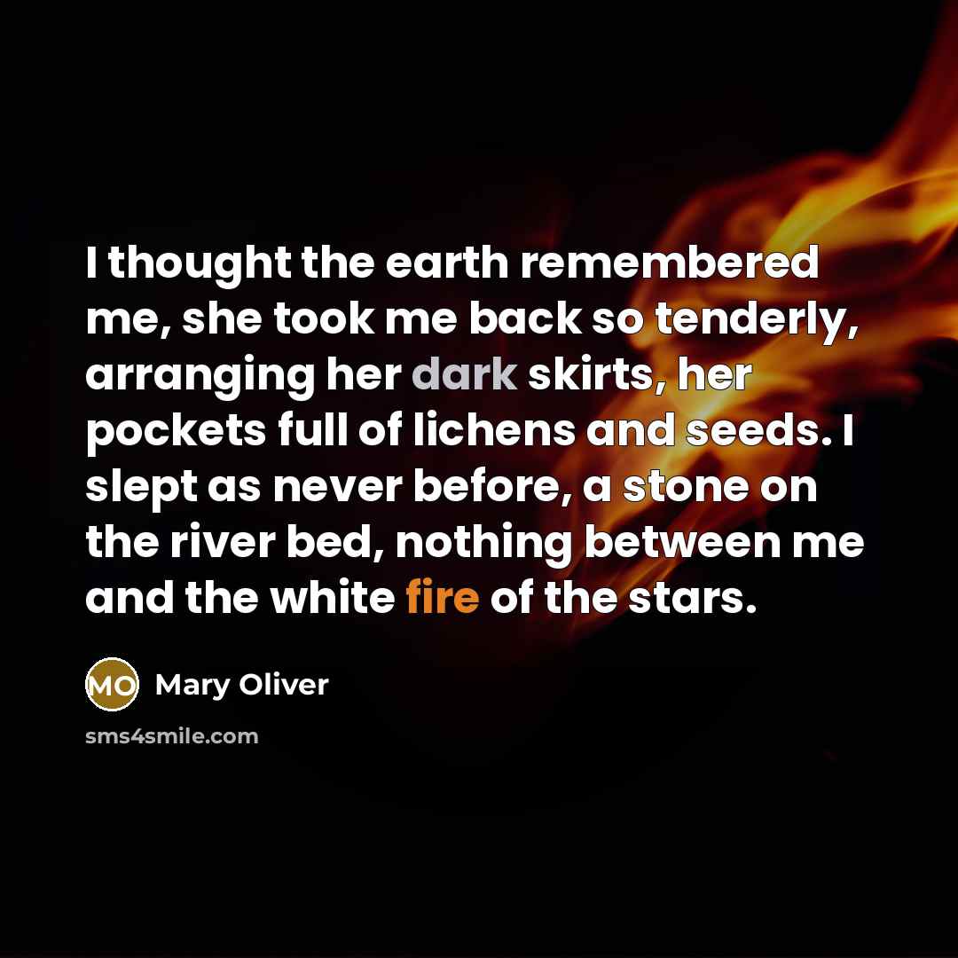 “I thought the earth remembered me, she took me back…” quote by Mary Oliver
