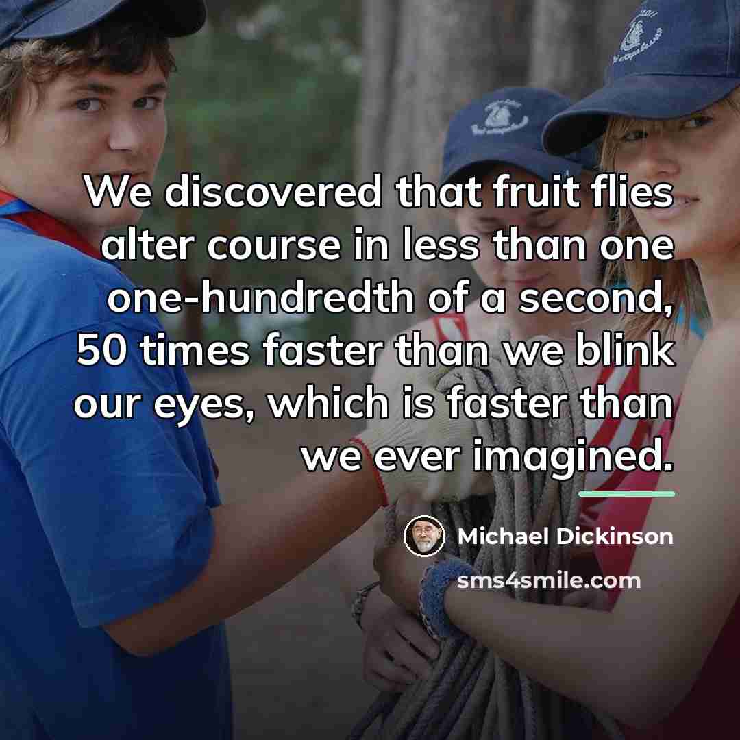 “We discovered that fruit flies alter course in less than…” quote by Michael Dickinson