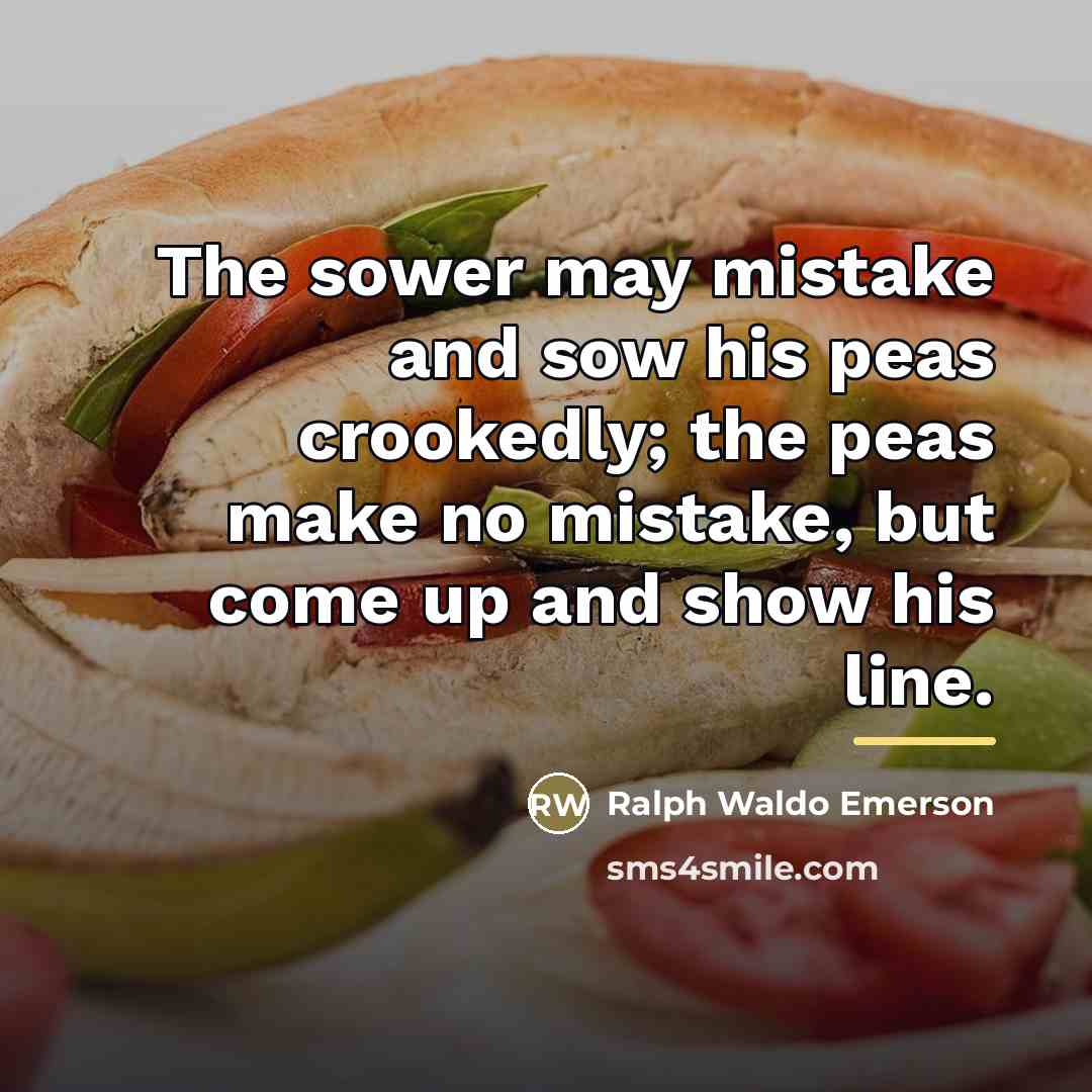 “The sower may mistake and sow his peas crookedly; the…” quote by Ralph Waldo Emerson