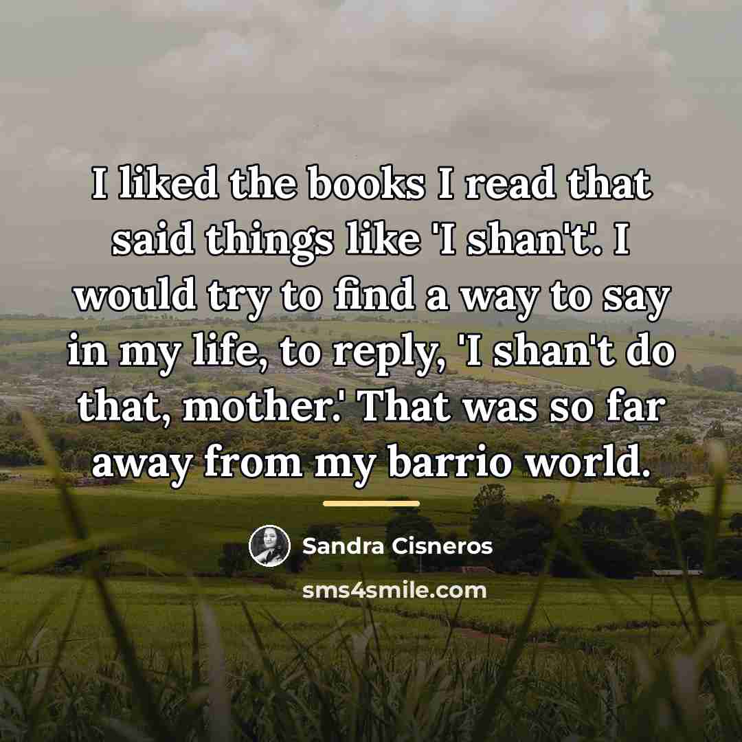 “I liked the books I read that said things like…” quote by Sandra Cisneros