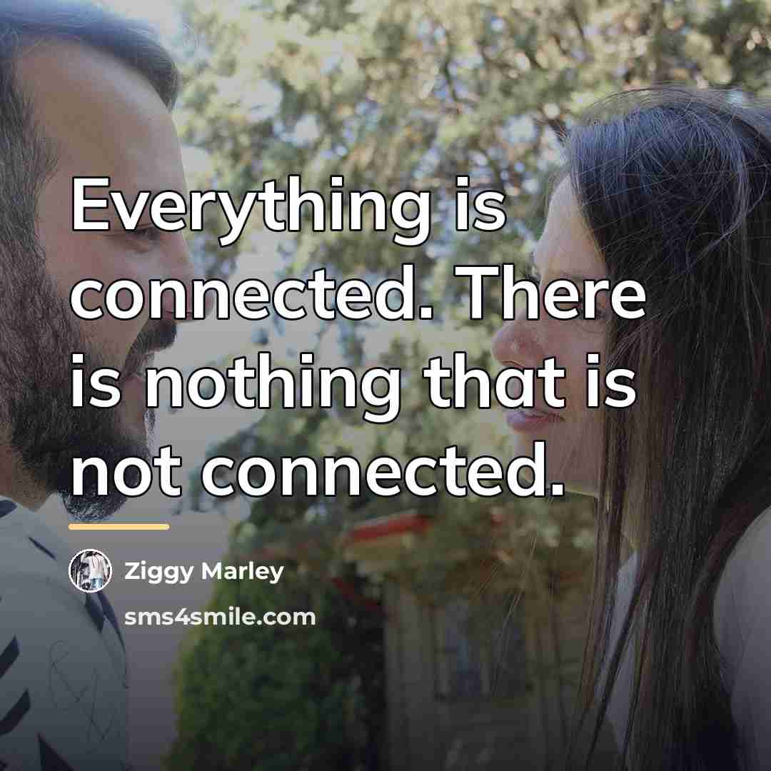 “Everything is connected. There is nothing that is not connected.…” quote by Ziggy Marley