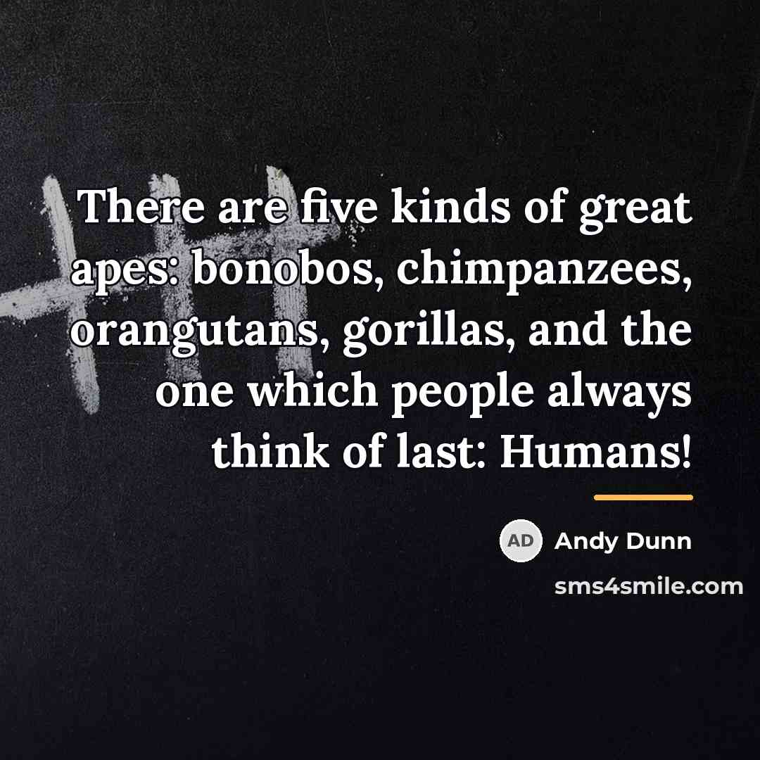 “There are five kinds of great apes: bonobos, chimpanzees, orangutans,…” quote by Andy Dunn