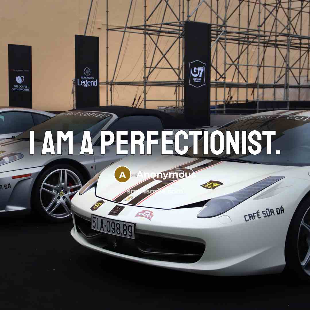 “I am a perfectionist.…” quote by Anonymous