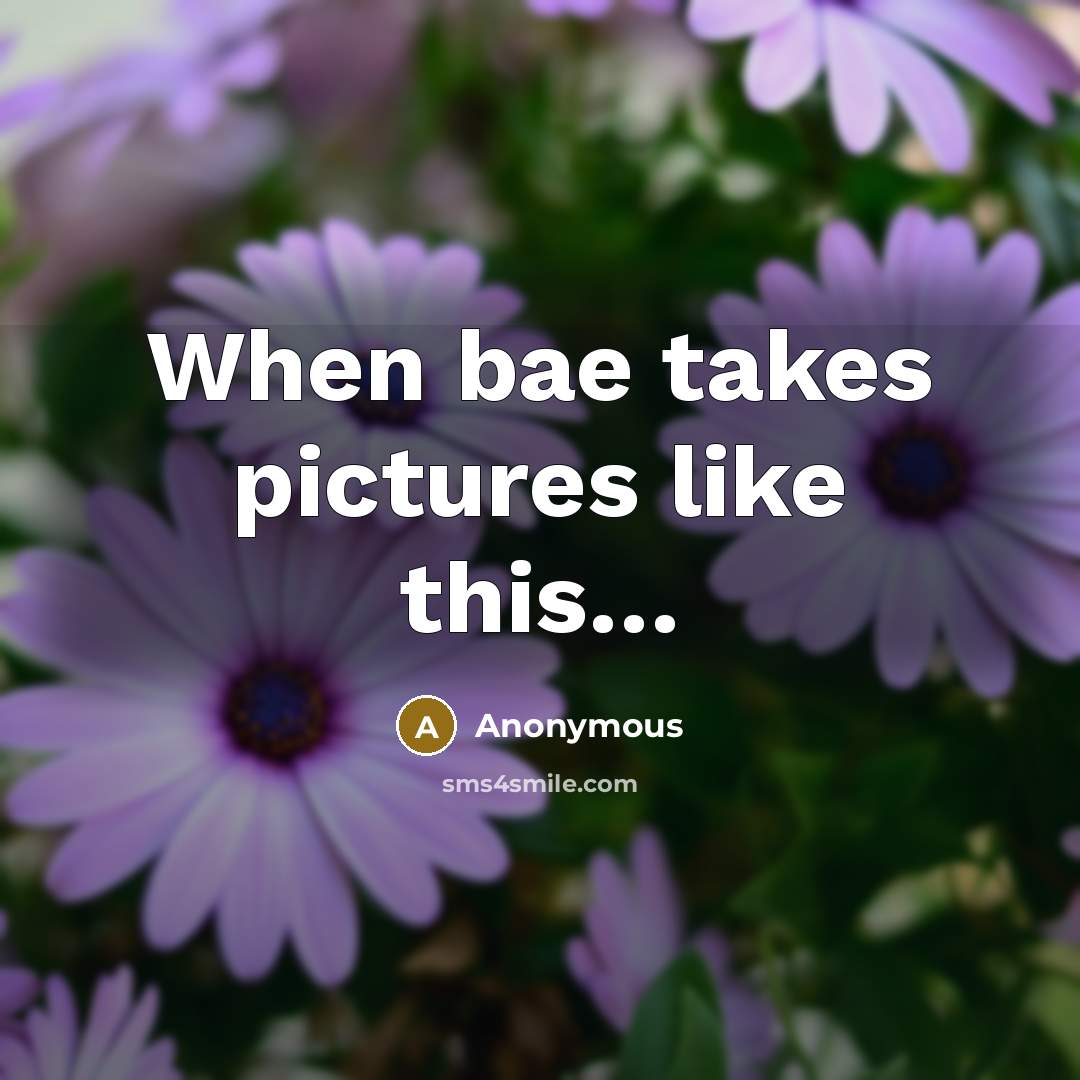 “When bae takes pictures like this…” quote by Anonymous