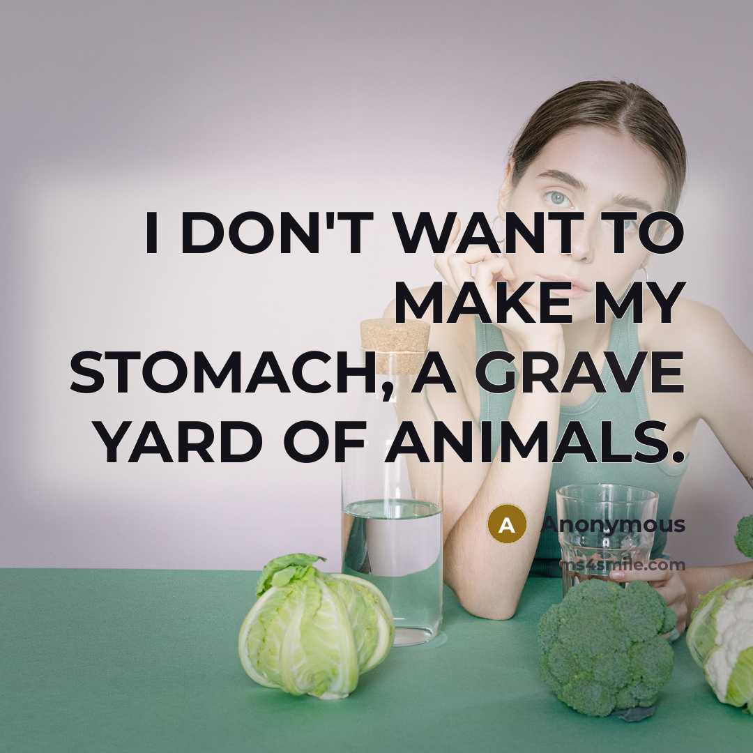 “I DON'T WANT TO MAKE MY STOMACH, A GRAVE YARD OF ANIMALS.” quote by Anonymous