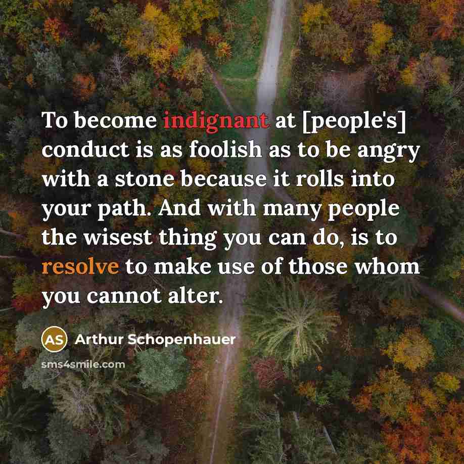 “To become indignant at [people's] conduct is as foolish as…” quote by Arthur Schopenhauer