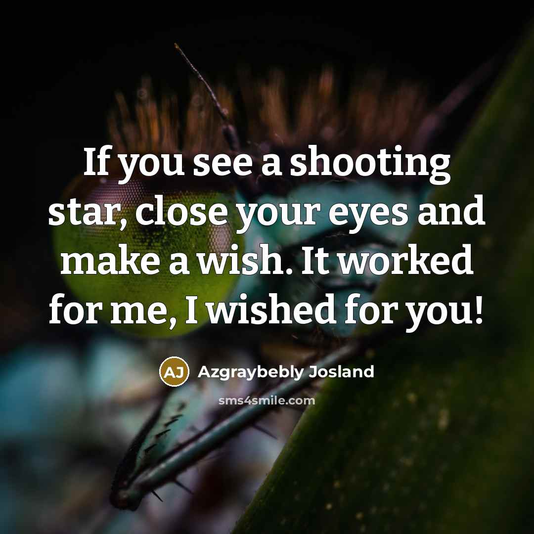 “If you see a shooting star, close your eyes and…” quote by Azgraybebly Josland