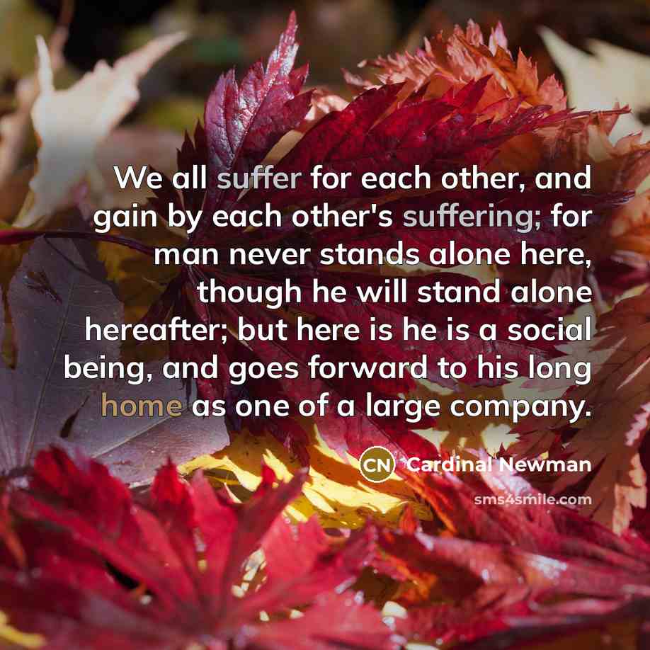“We all suffer for each other, and gain by each…” quote by Cardinal Newman