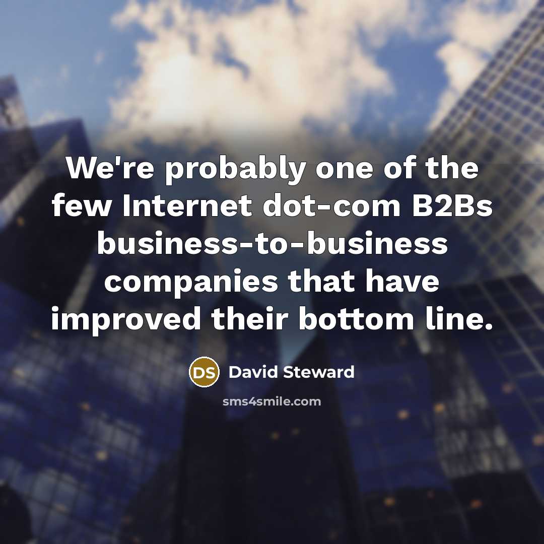 “We're probably one of the few Internet dot-com B2Bs business-to-business…” quote by David Steward