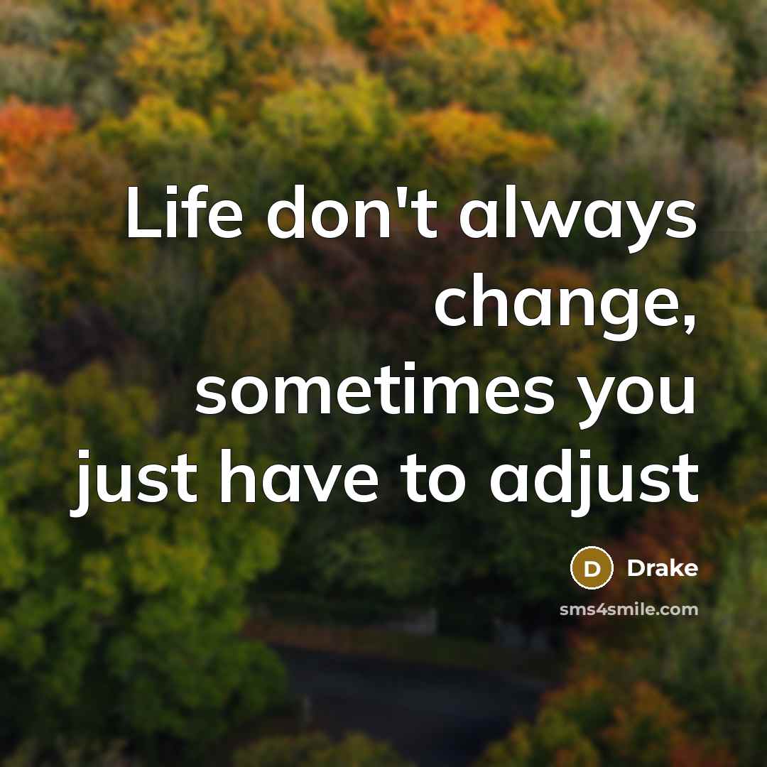 “Life don't always change, sometimes you just have to adjust…” quote by Drake