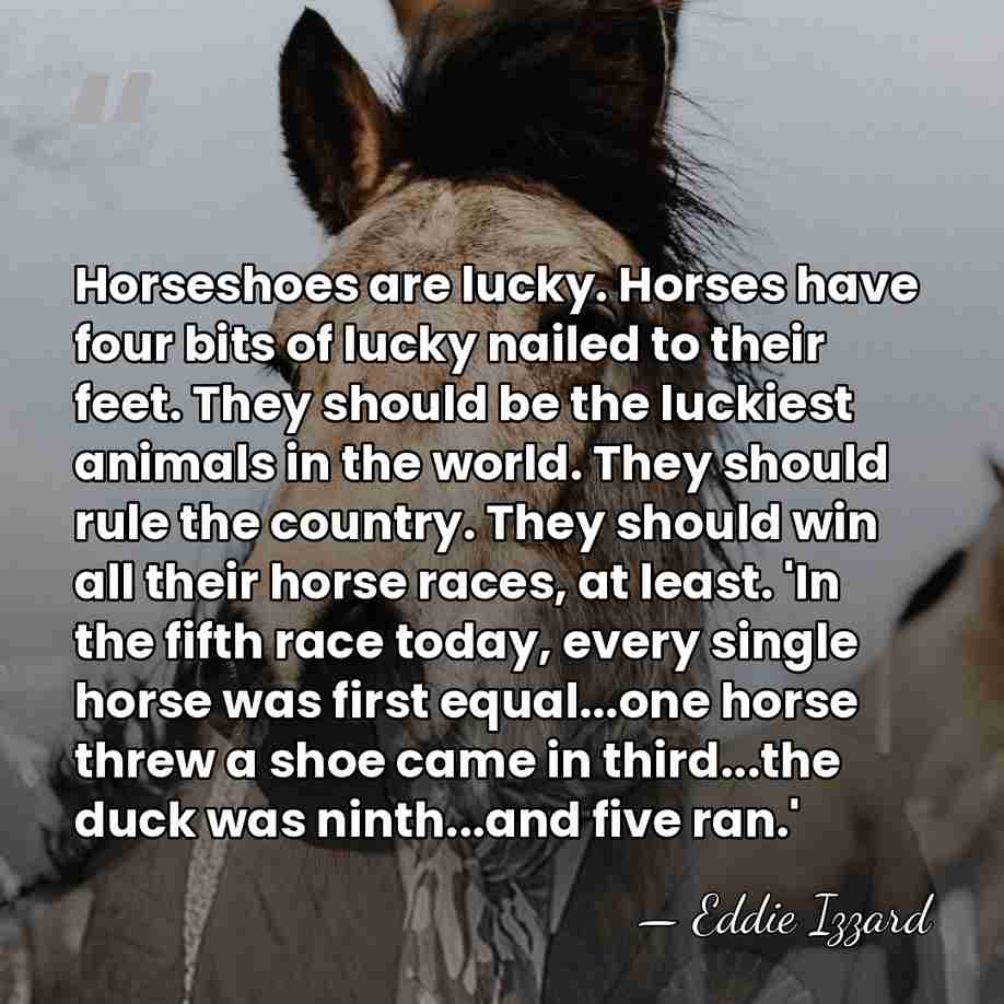 Horseshoes are lucky. Horses have four bits of lucky nailed to their&hellip; - Eddie Izzard