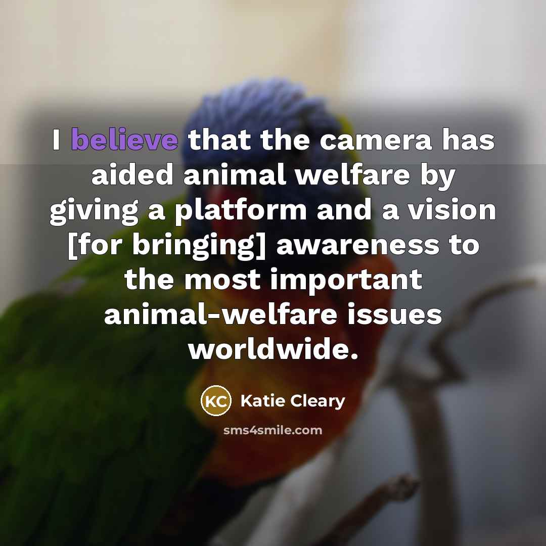 “I believe that the camera has aided animal welfare by…” quote by Katie Cleary