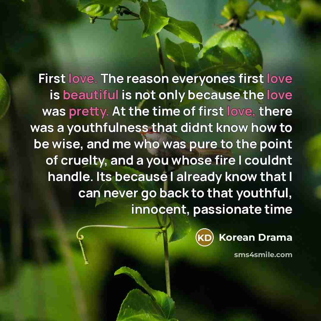 “First love. The reason everyones first love is beautiful is not only because the love was pretty. At the time of first love, there was a youthfulness that didnt know how to be wise, and me who was pure to the point of cruelty, and a you whose fire I couldnt handle. Its because I already know that…” quote by Korean Drama