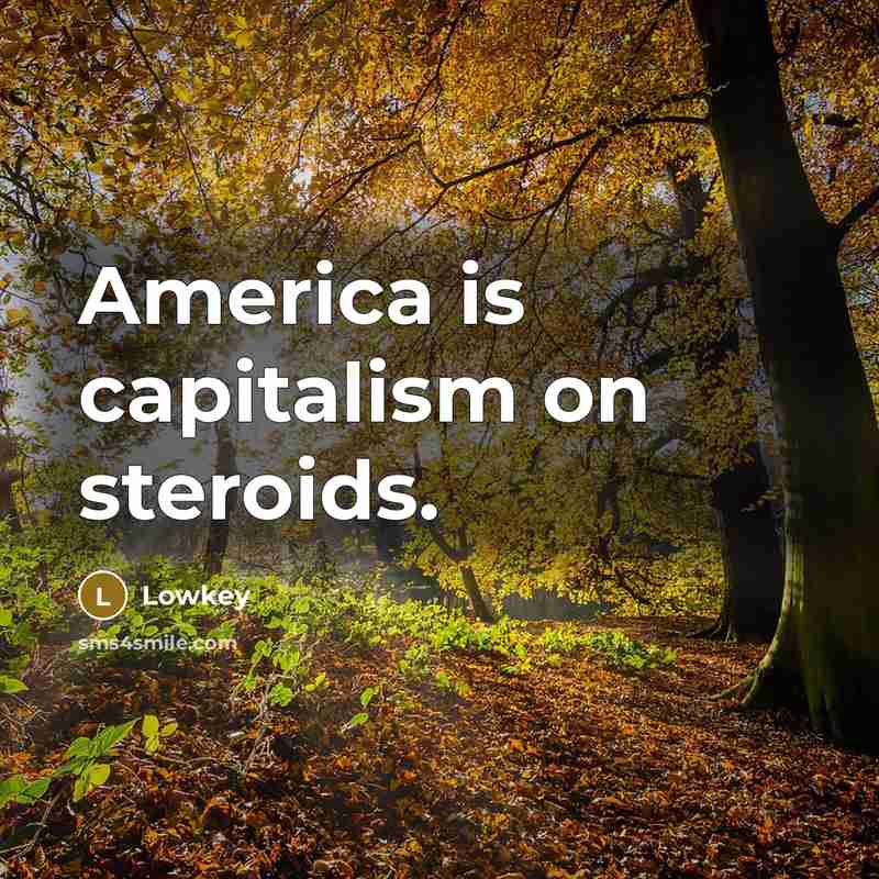 “America is capitalism on steroids.…” quote by Lowkey