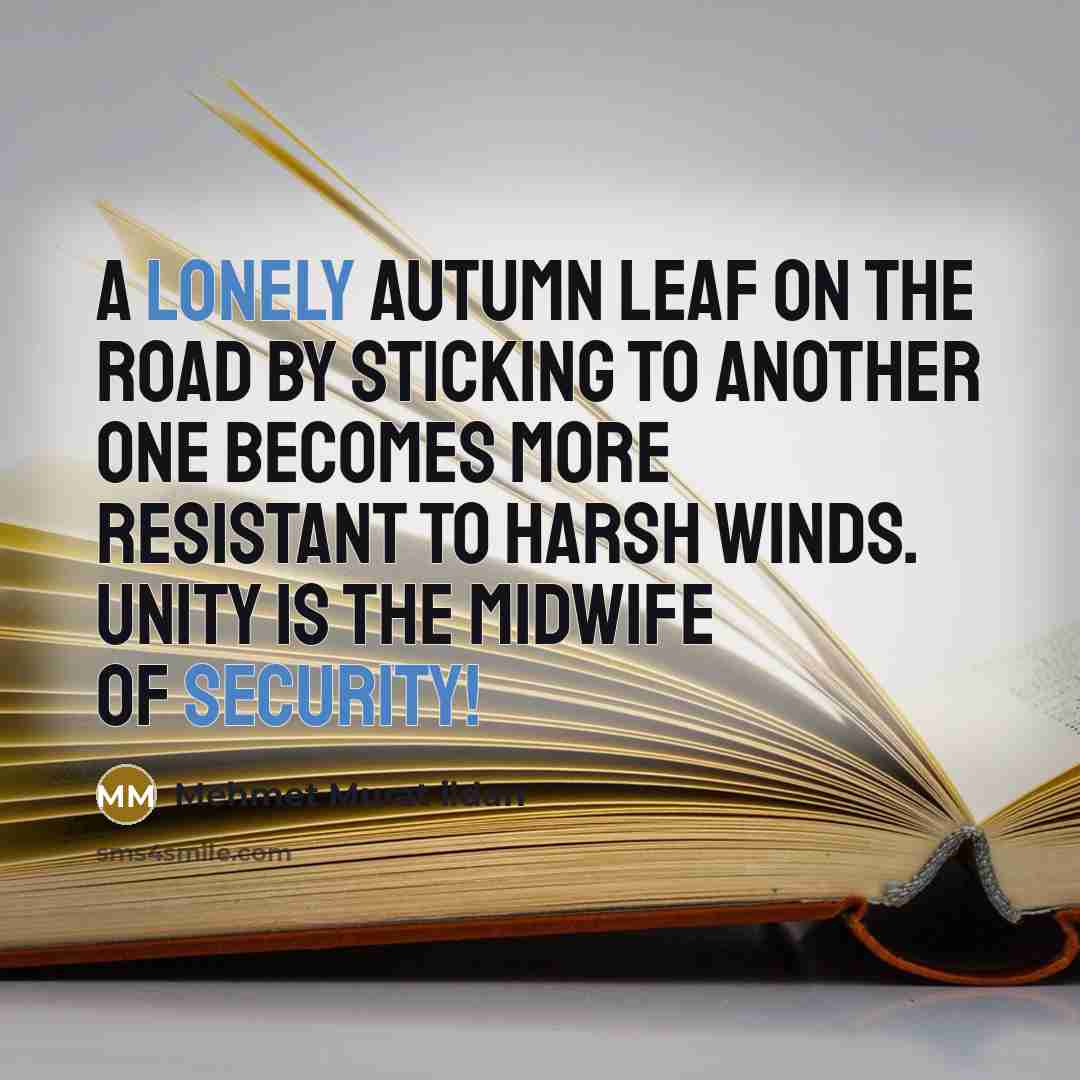 “A lonely Autumn leaf on the road by sticking to…” quote by Mehmet Murat Ildan