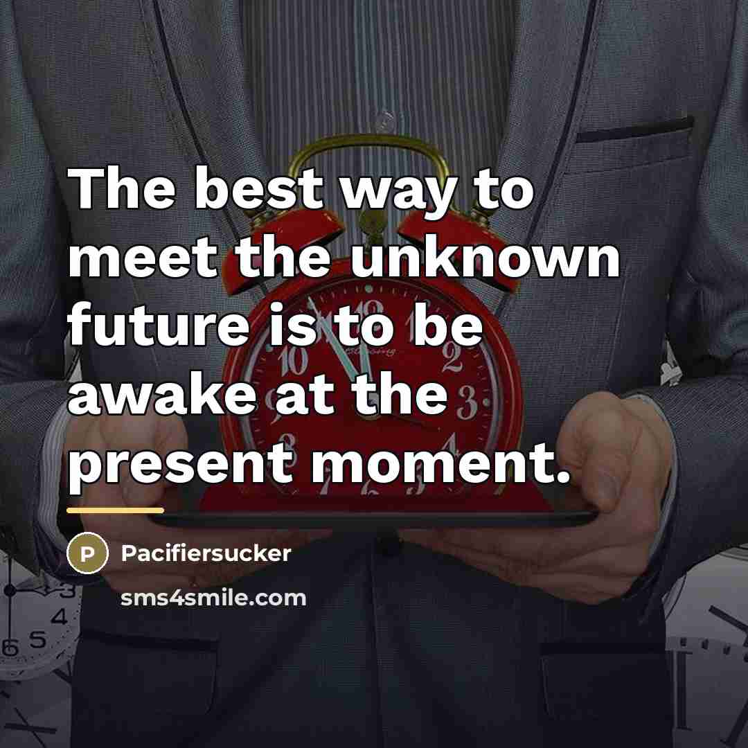 “The best way to meet the unknown future is to…” quote by Pacifiersucker