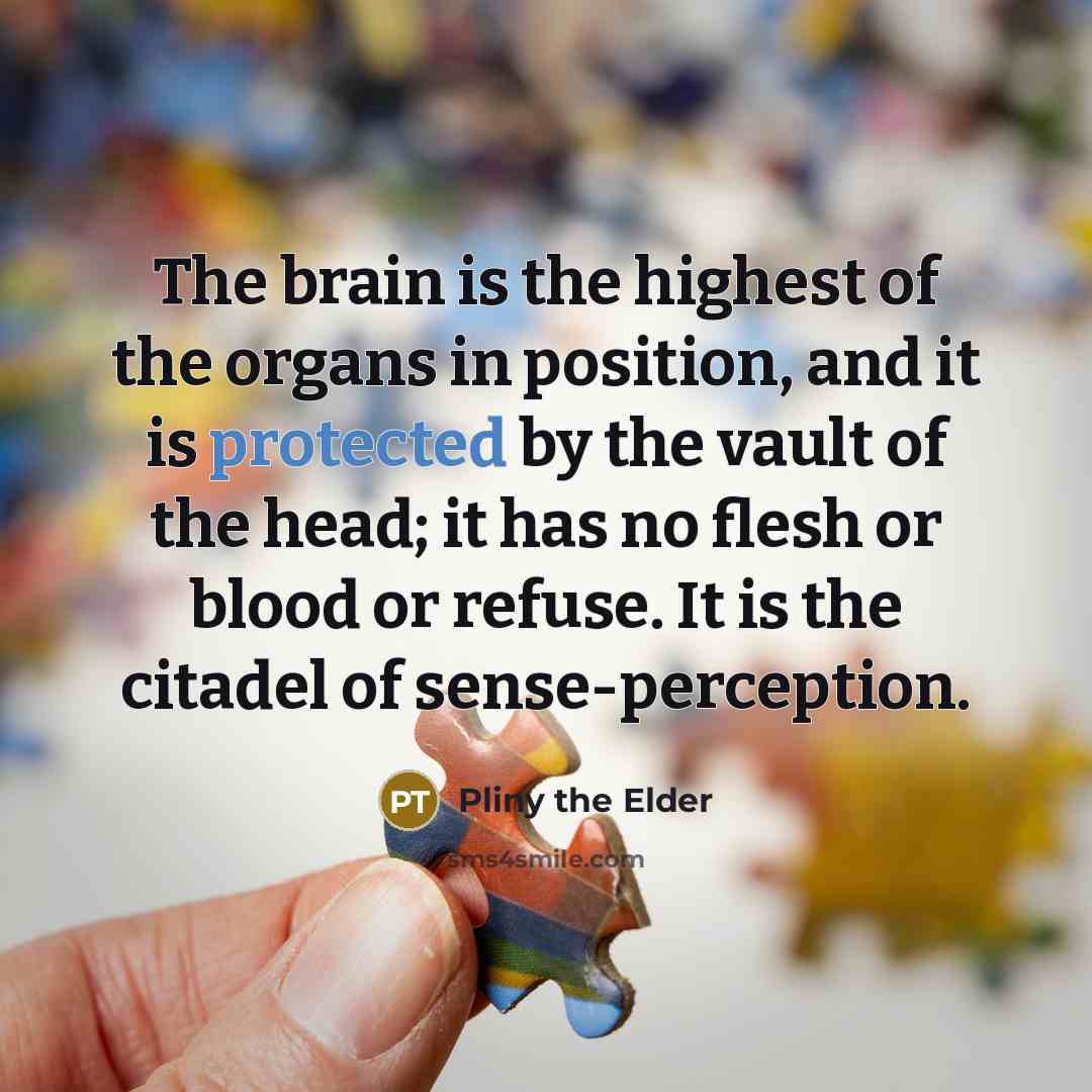 “The brain is the highest of the organs in position,…” quote by Pliny the Elder