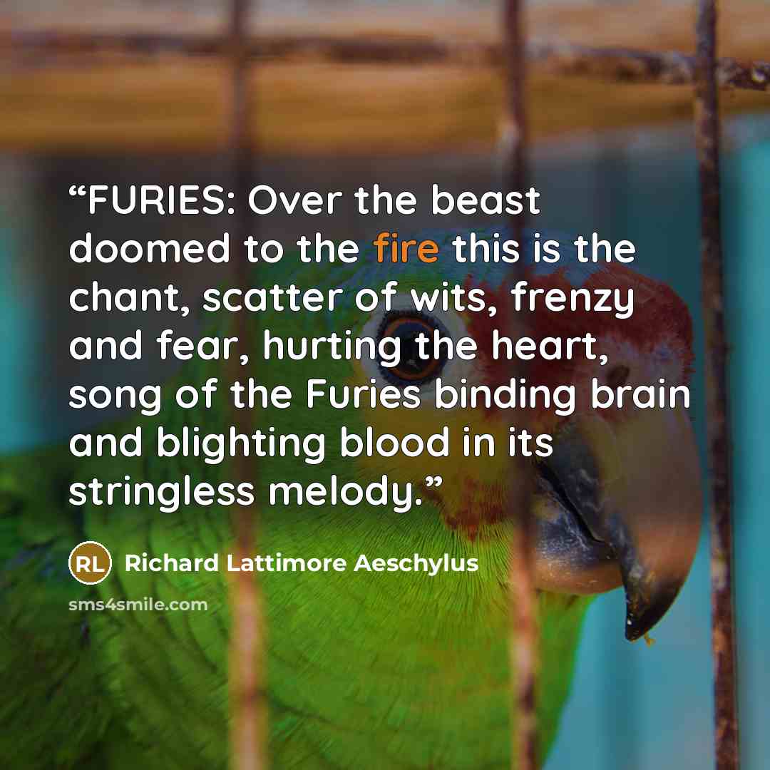 “FURIES: Over the beast doomed to the fire this is the chant, scatter of wits, frenzy and fear, hurting the heart, song of the Furies binding brain and blighting blood in its stringless melody.” quote by Richard Lattimore Aeschylus