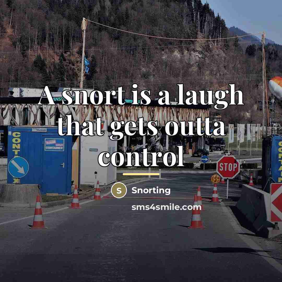 “A snort is a laugh that gets outta control…” quote by Snorting
