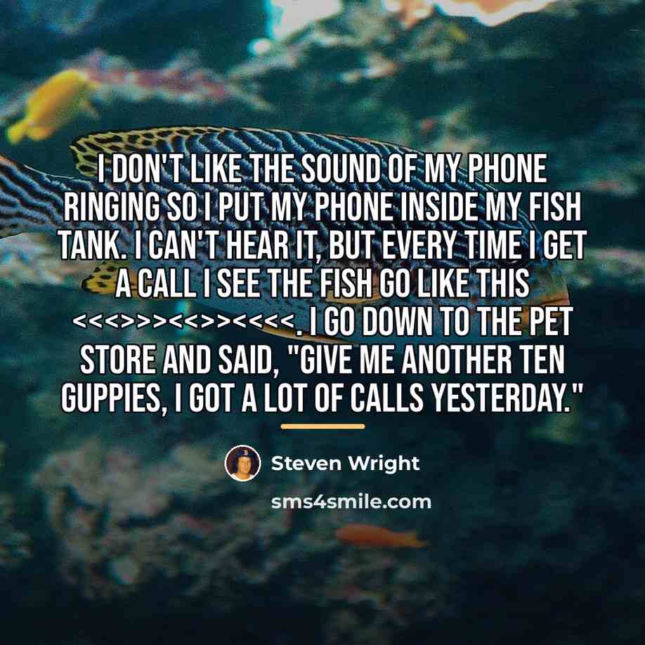 “I don't like the sound of my phone ringing so…” quote by Steven Wright