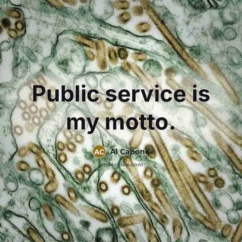 “Public service is my motto.…” quote by Al Capone