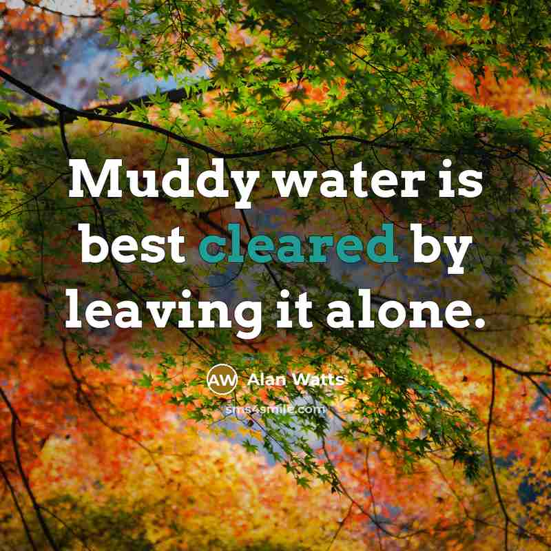 “Muddy water is best cleared by leaving it alone.” quote by Alan Watts