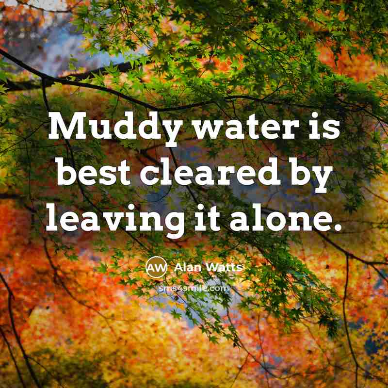 “Muddy water is best cleared by leaving it alone.…” quote by Alan Watts