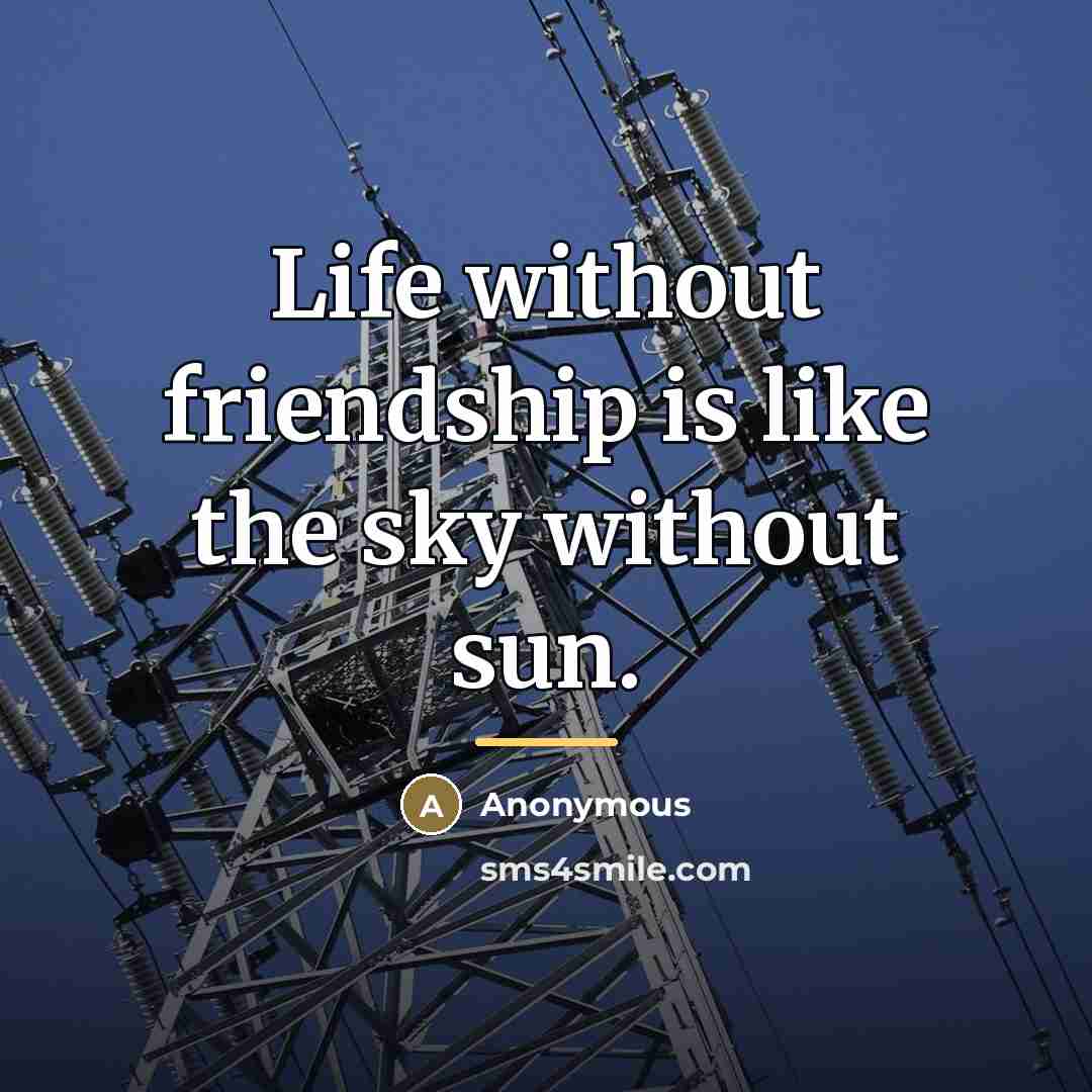 “Life without friendship is like the sky without sun.…” quote by Anonymous