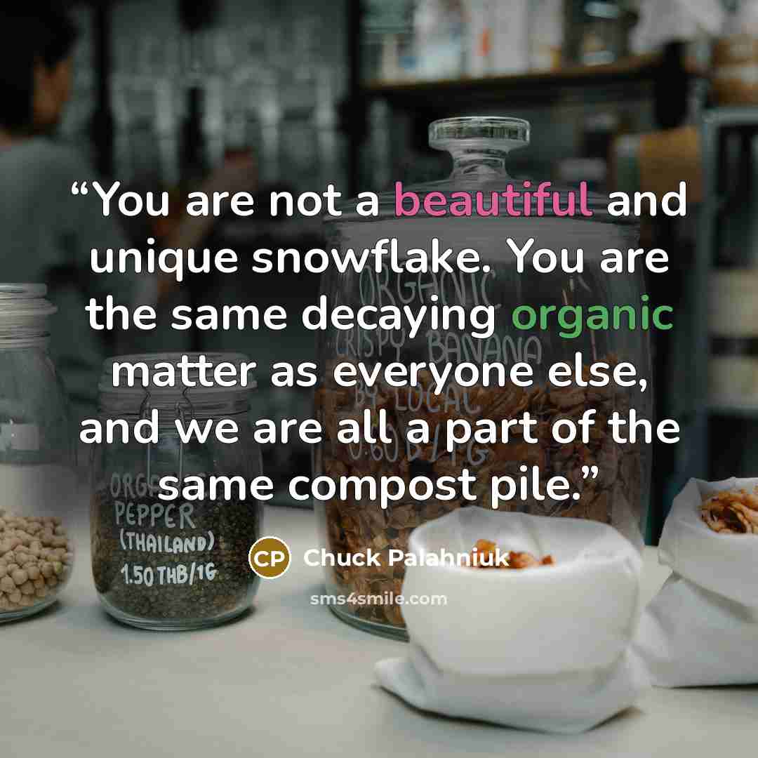 “You are not a beautiful and unique snowflake. You are the same decaying organic matter as everyone else, and we are all a part of the same compost pile.” quote by Chuck Palahniuk