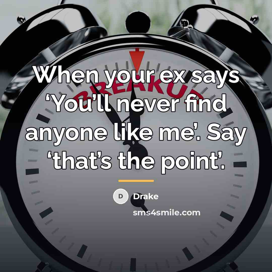 “When your ex says ‘You’ll never find anyone like me’.…” quote by Drake