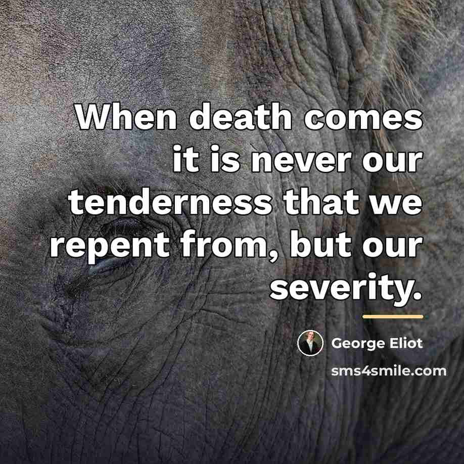 “When death comes it is never our tenderness that we…” quote by George Eliot