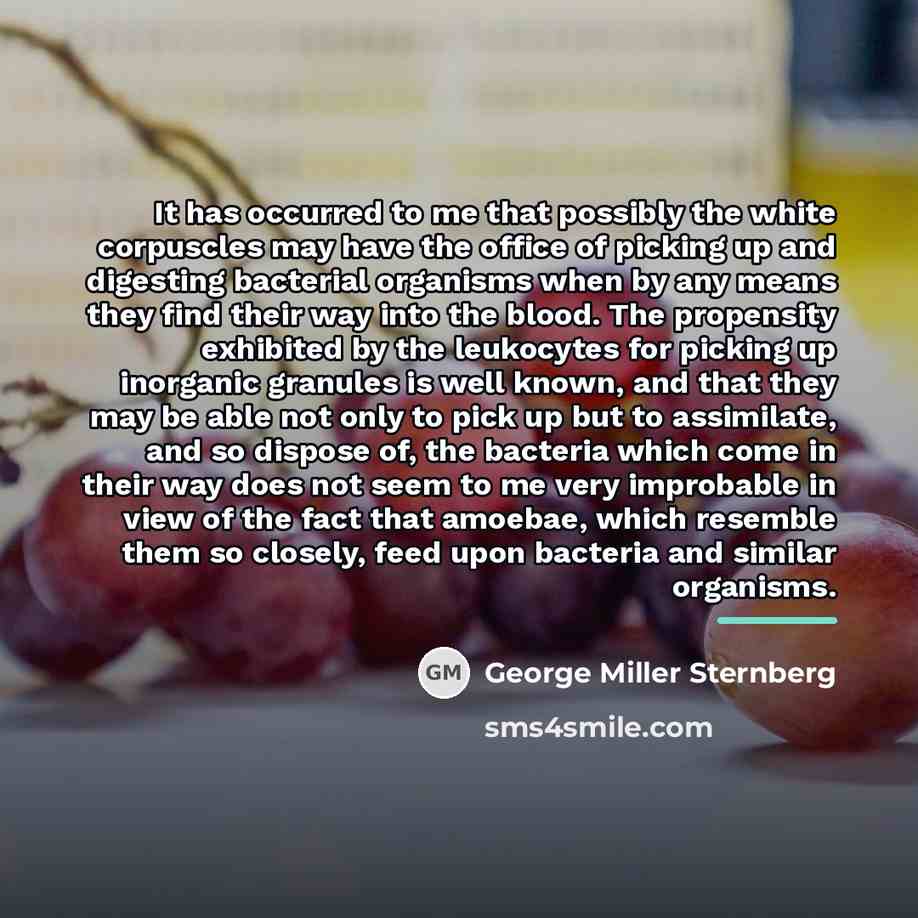“It has occurred to me that possibly the white corpuscles…” quote by George Miller Sternberg