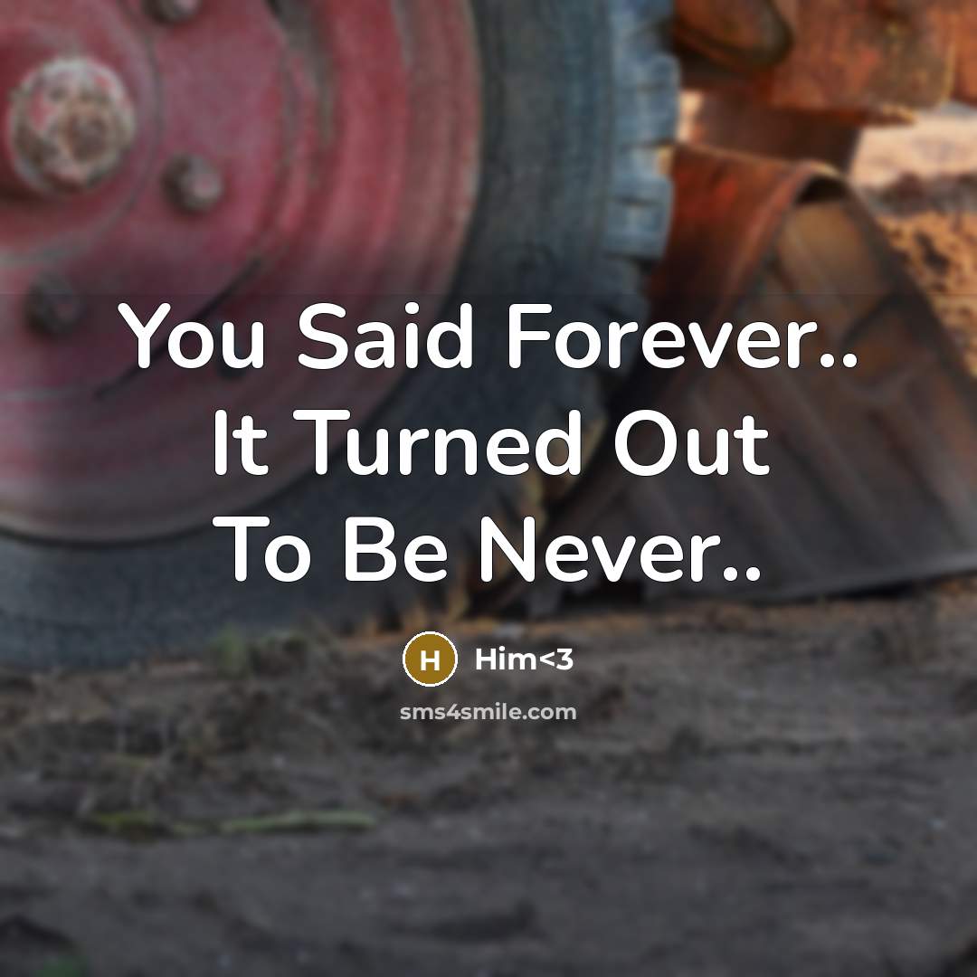 “You Said Forever.. It Turned Out To Be Never..” quote by Him