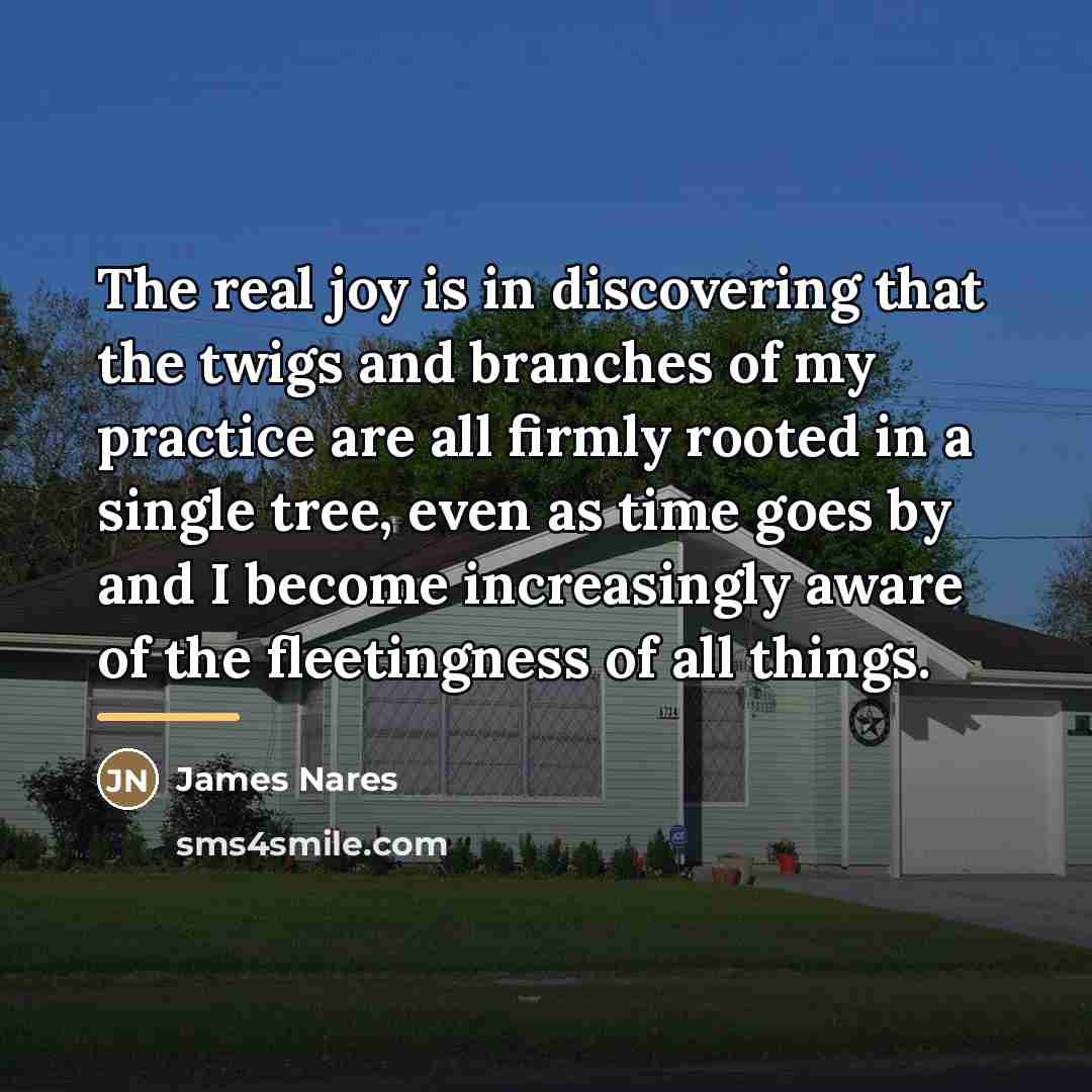 “The real joy is in discovering that the twigs and…” quote by James Nares