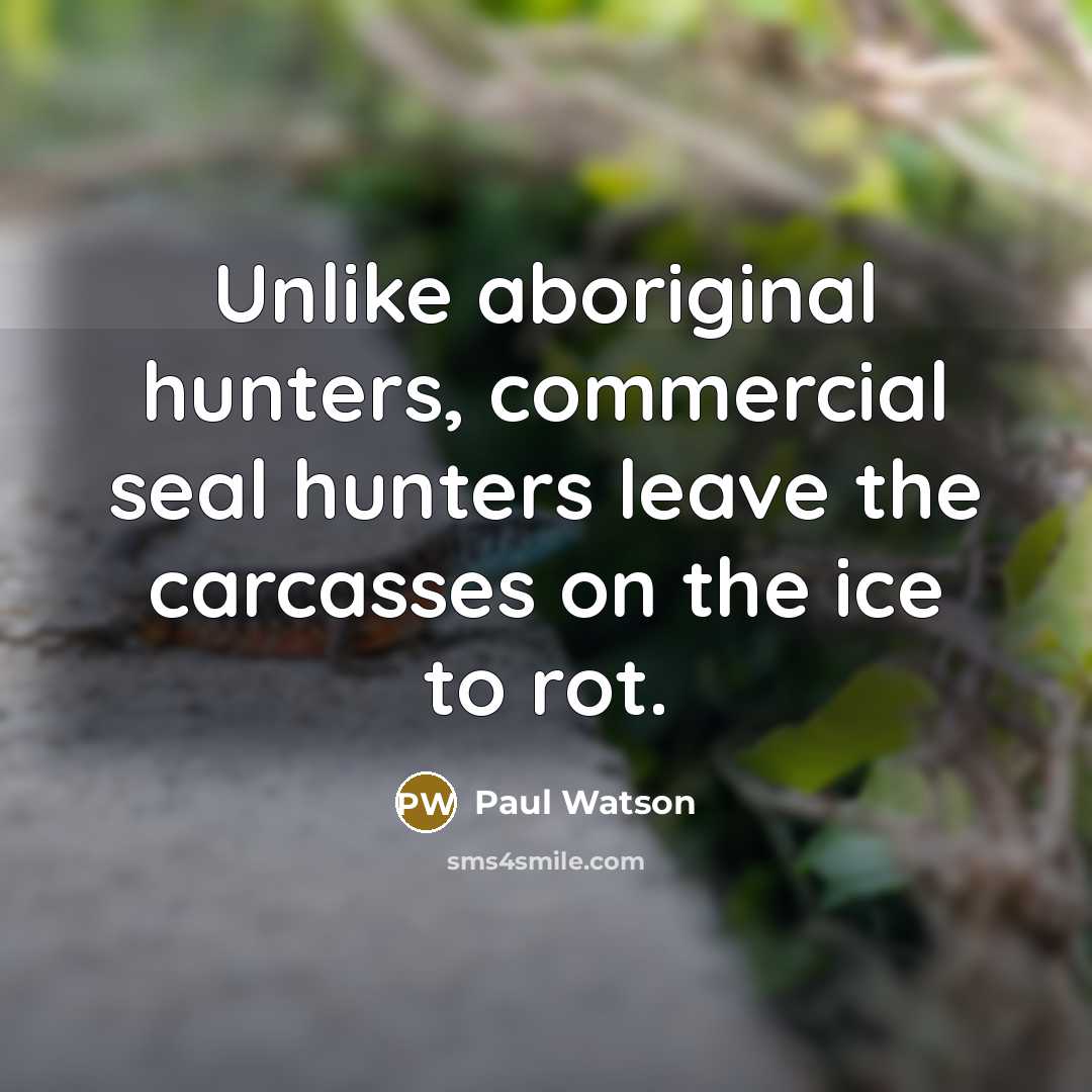 “Unlike aboriginal hunters, commercial seal hunters leave the carcasses on…” quote by Paul Watson