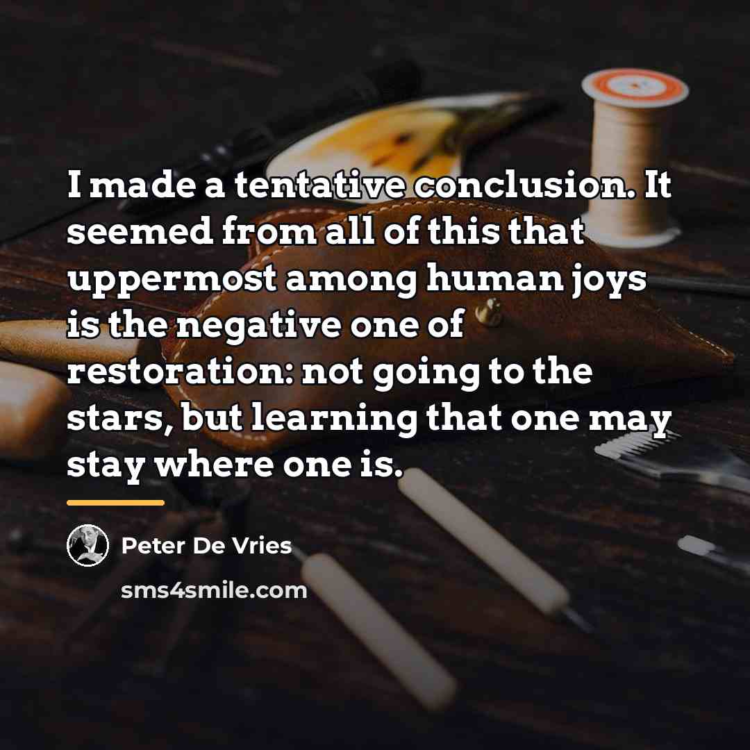 “I made a tentative conclusion. It seemed from all of…” quote by Peter De Vries