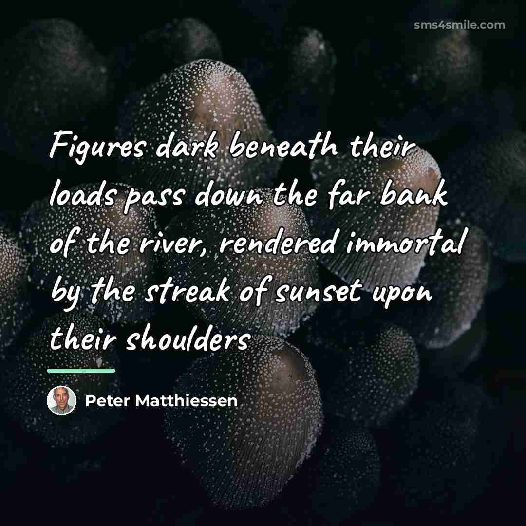 “Figures dark beneath their loads pass down the far bank…” quote by Peter Matthiessen