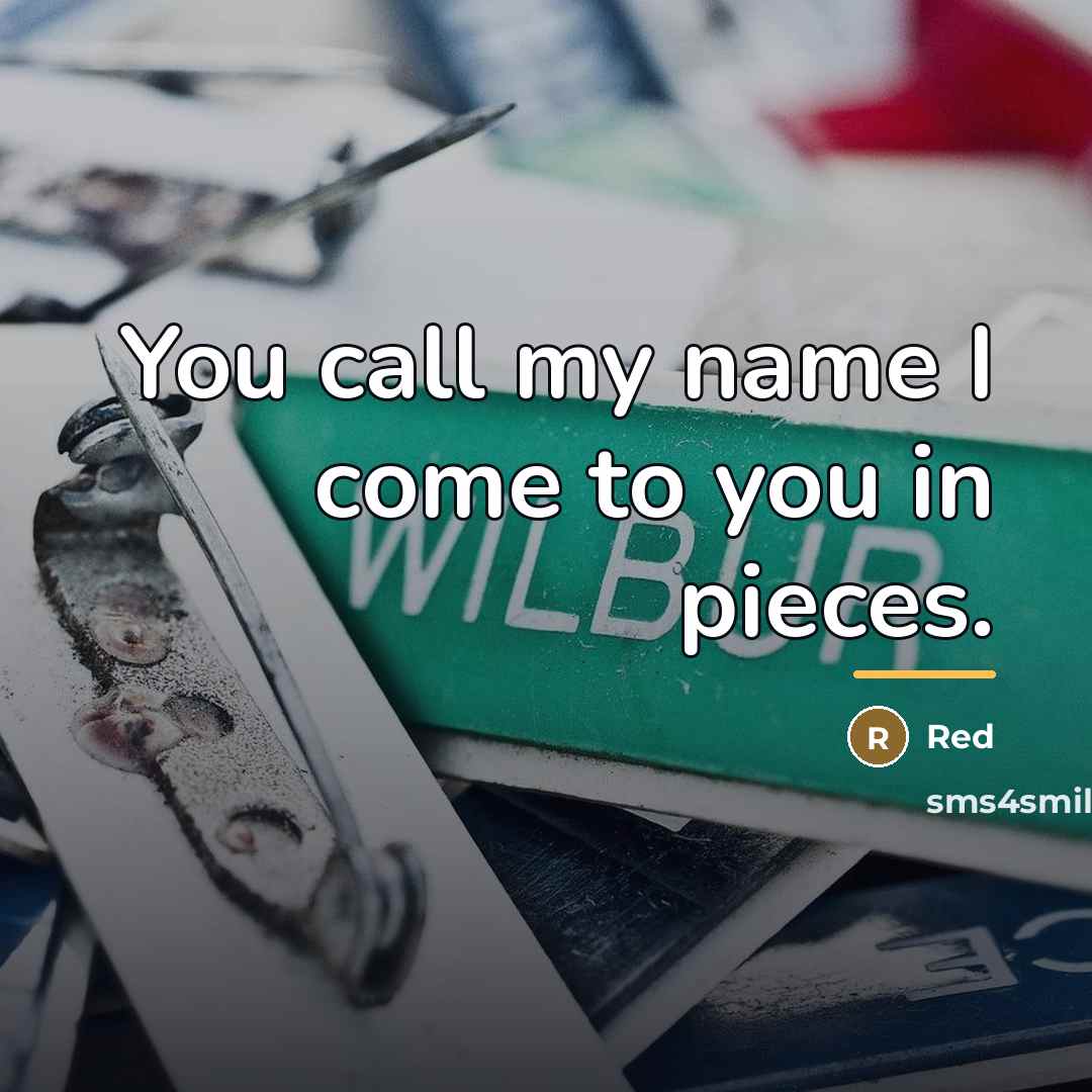 “You call my name I come to you in pieces.…” quote by Red